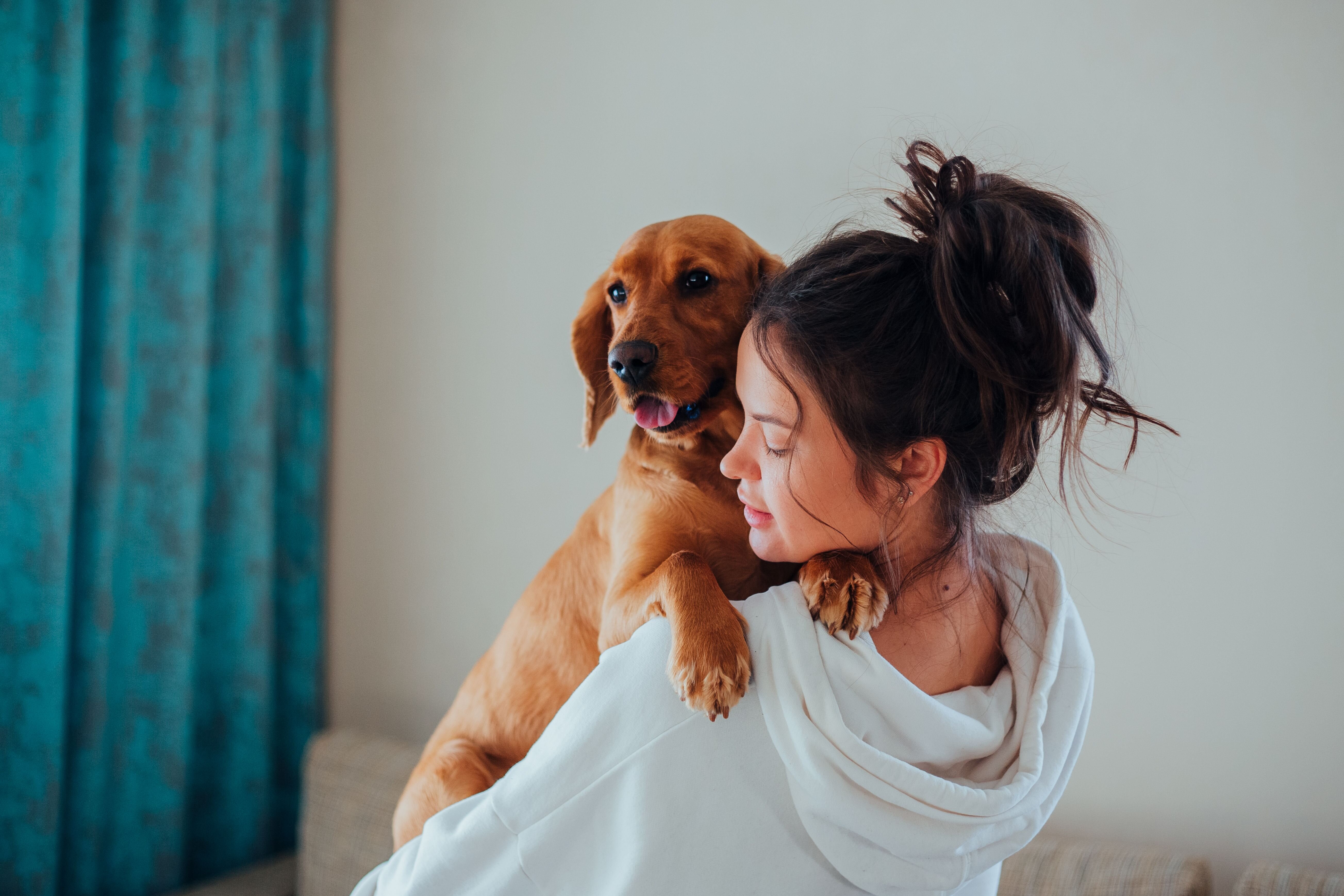 Overnight Pet Sitting Denver for Reliable In-Home image 1