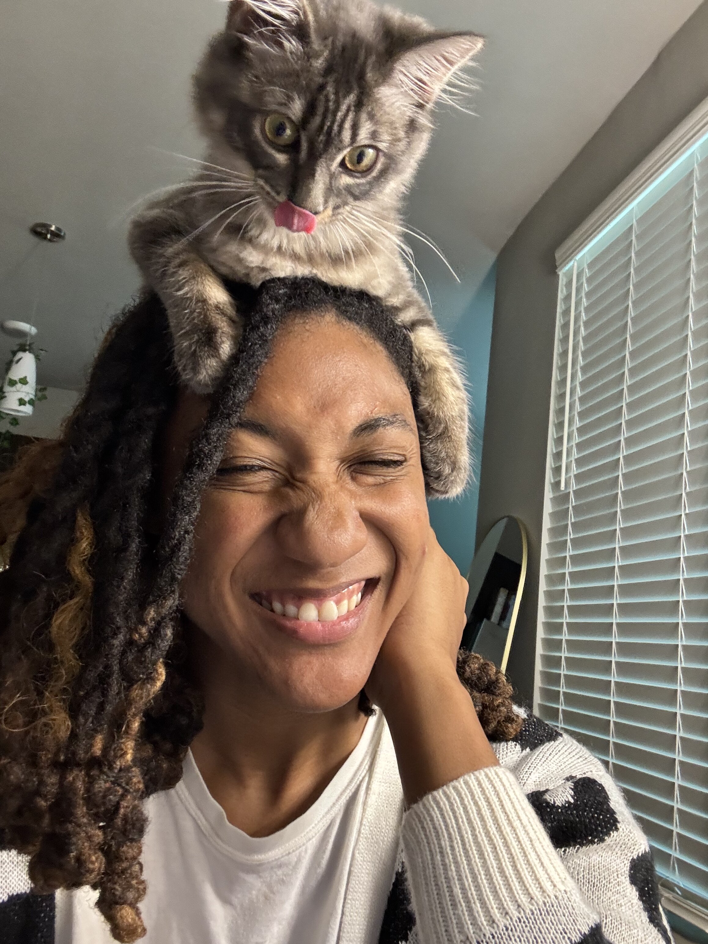 Cat care package image 2