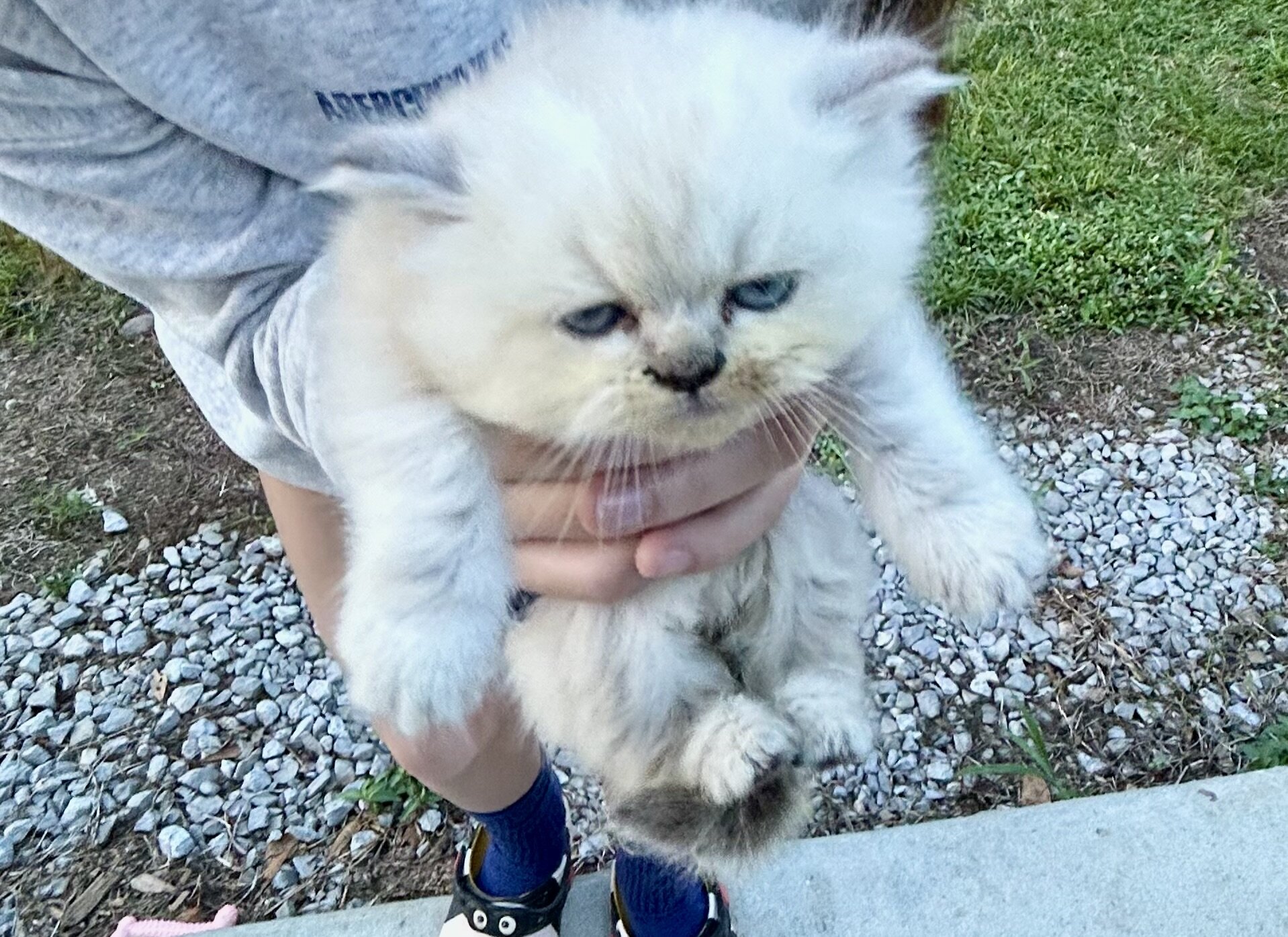 Ragamuffin image 3