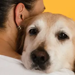 Reliable Overnight Pet Sitting & In-Home Pet Care