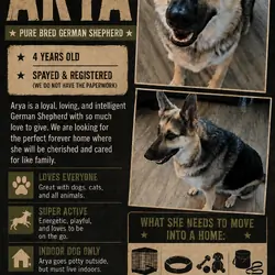 German Shepherd