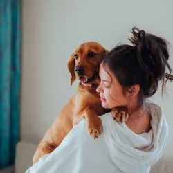Overnight Pet Sitting Denver for Reliable In-Home
