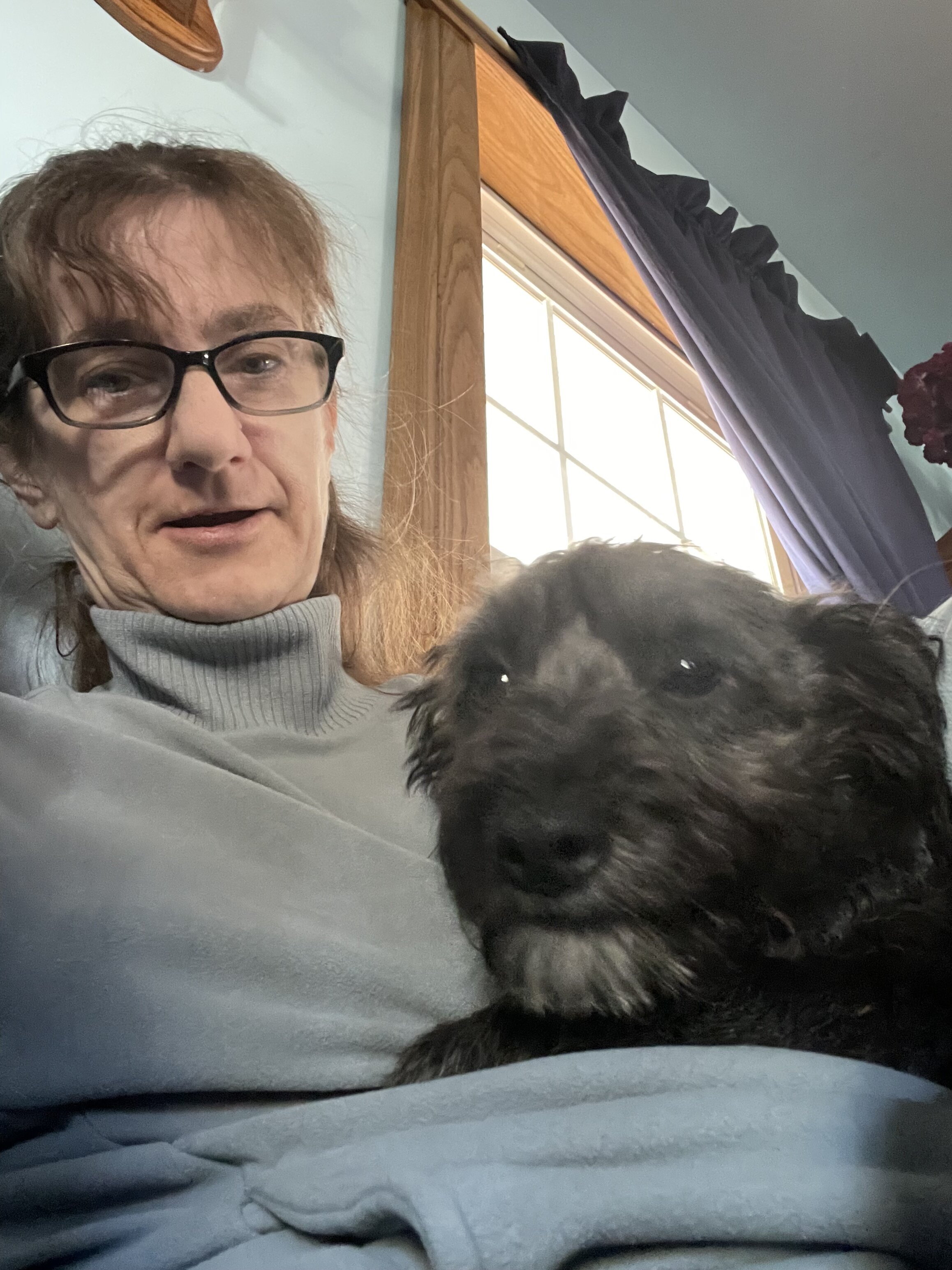 Marco the Yorkichon image 3