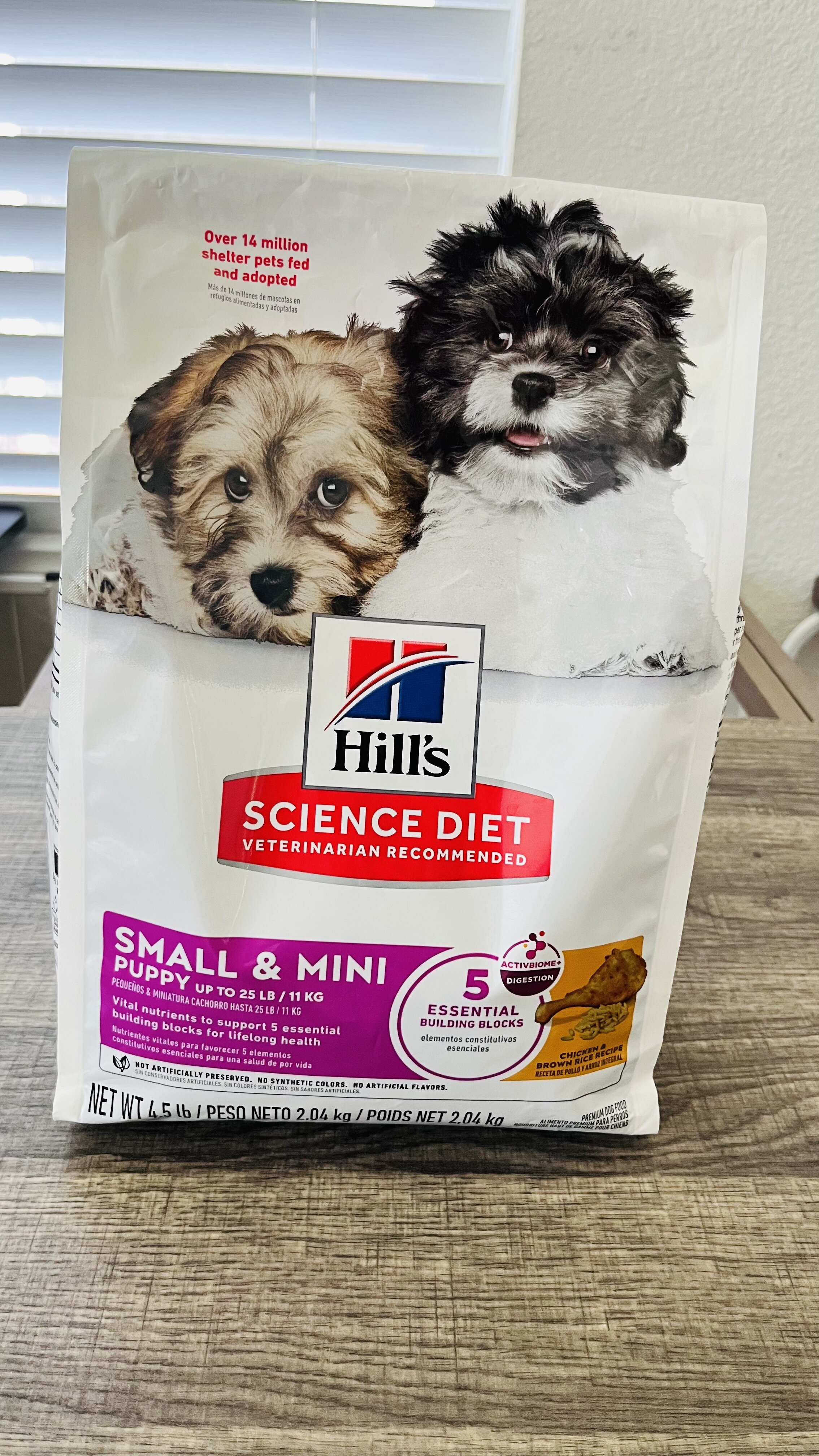 Adorable Pin-Tzu / Maltipoo Puppy image 7