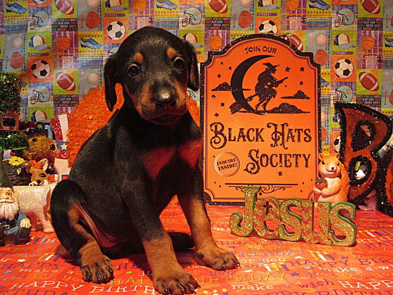 PUPPY image 2