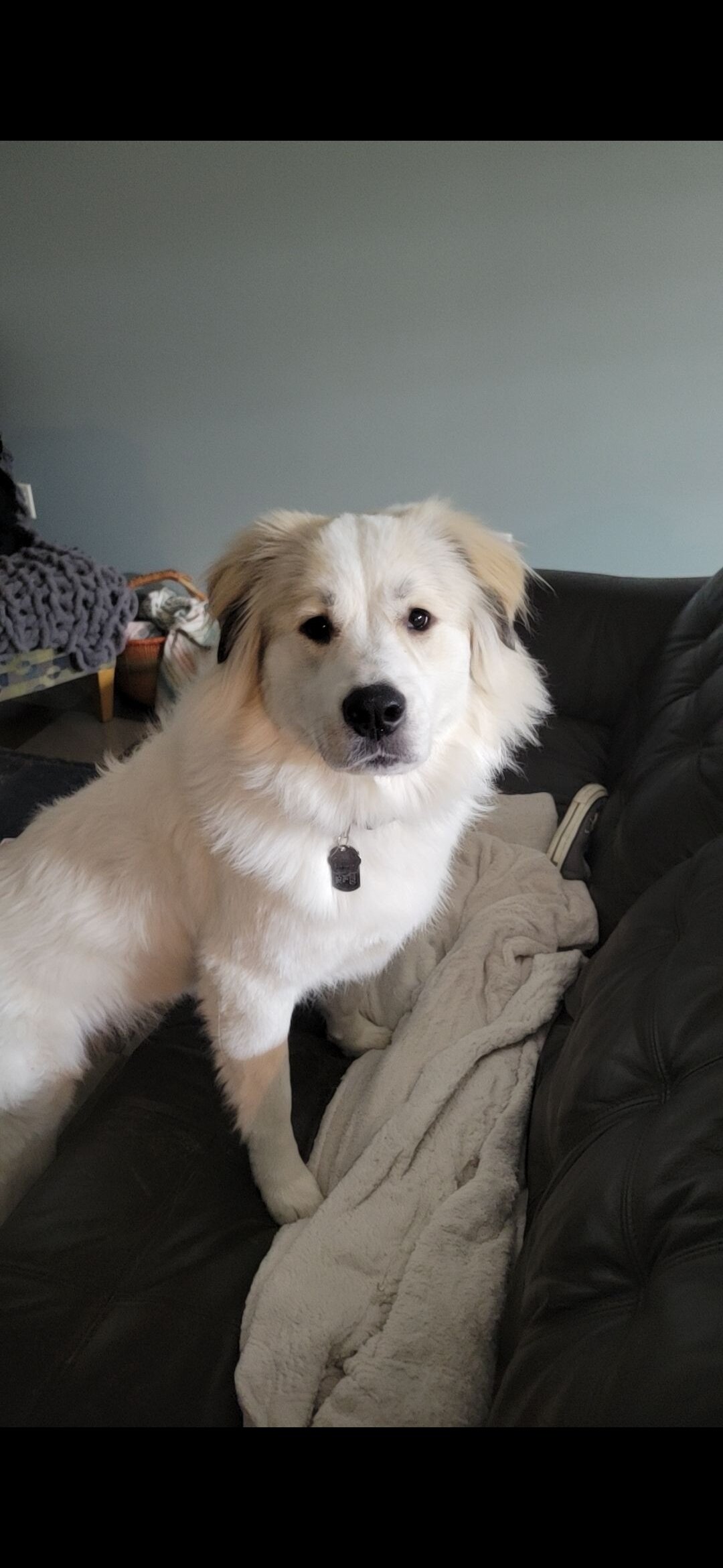 Margot image 3