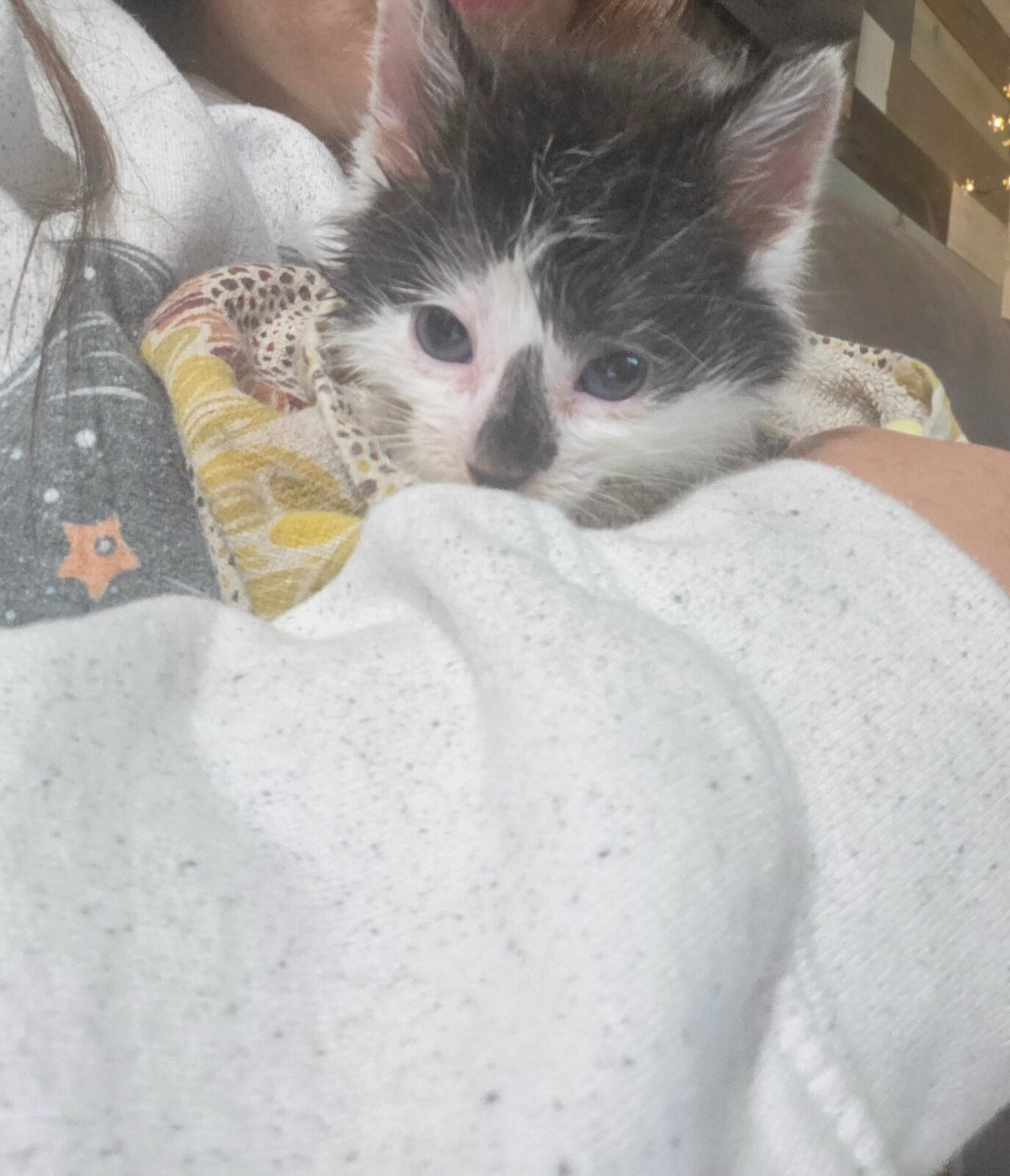 Kittnes image 3