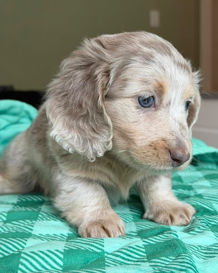 **Lilian – A Beautiful Girl with a Heart Full image 2