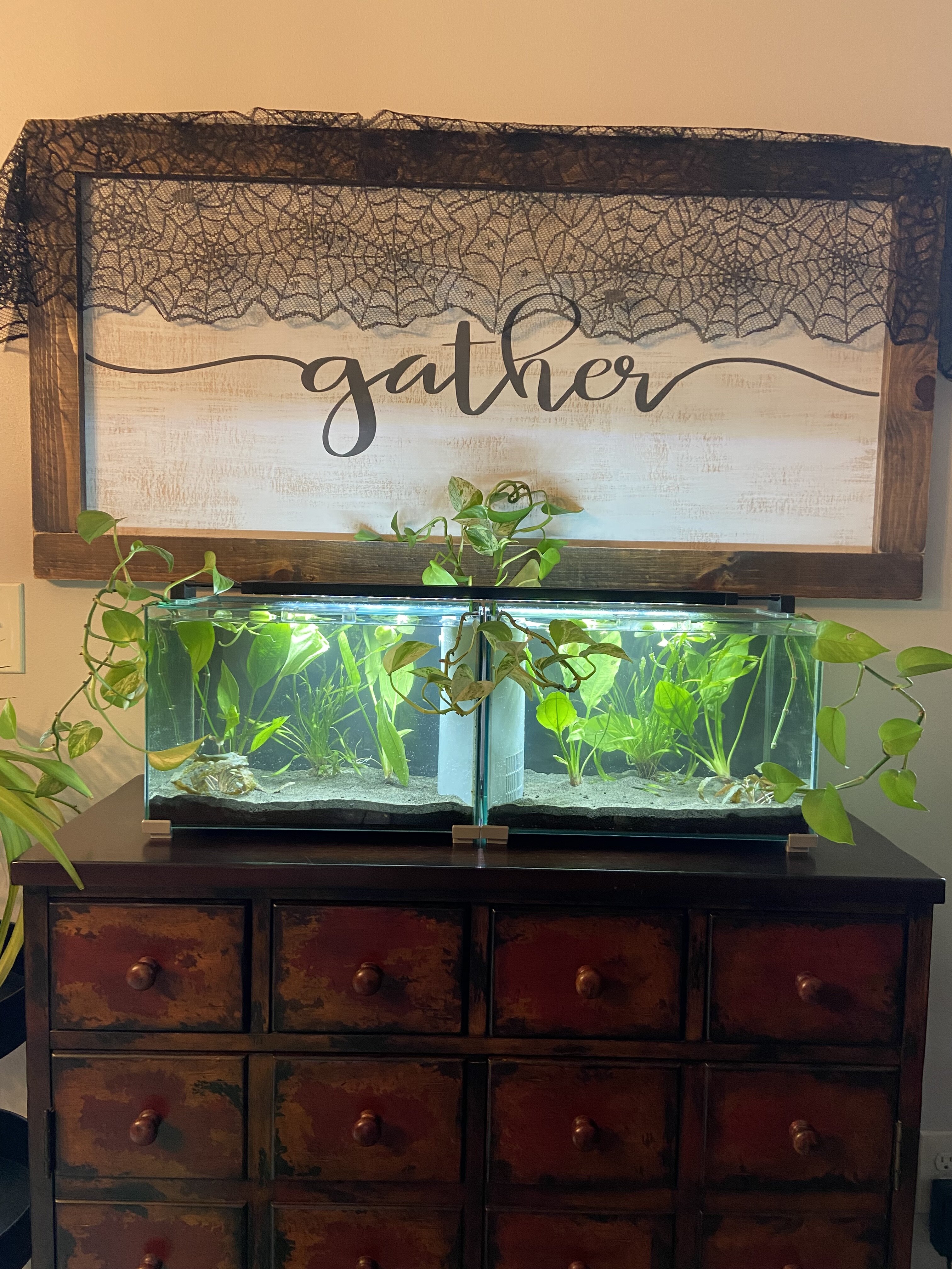 Aquariums image 1