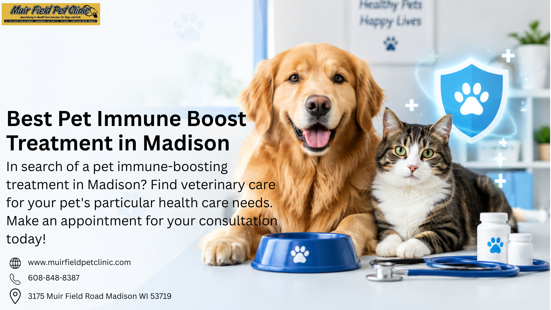 Best Pet Immune Boost Treatment in Madison | Get C image 1