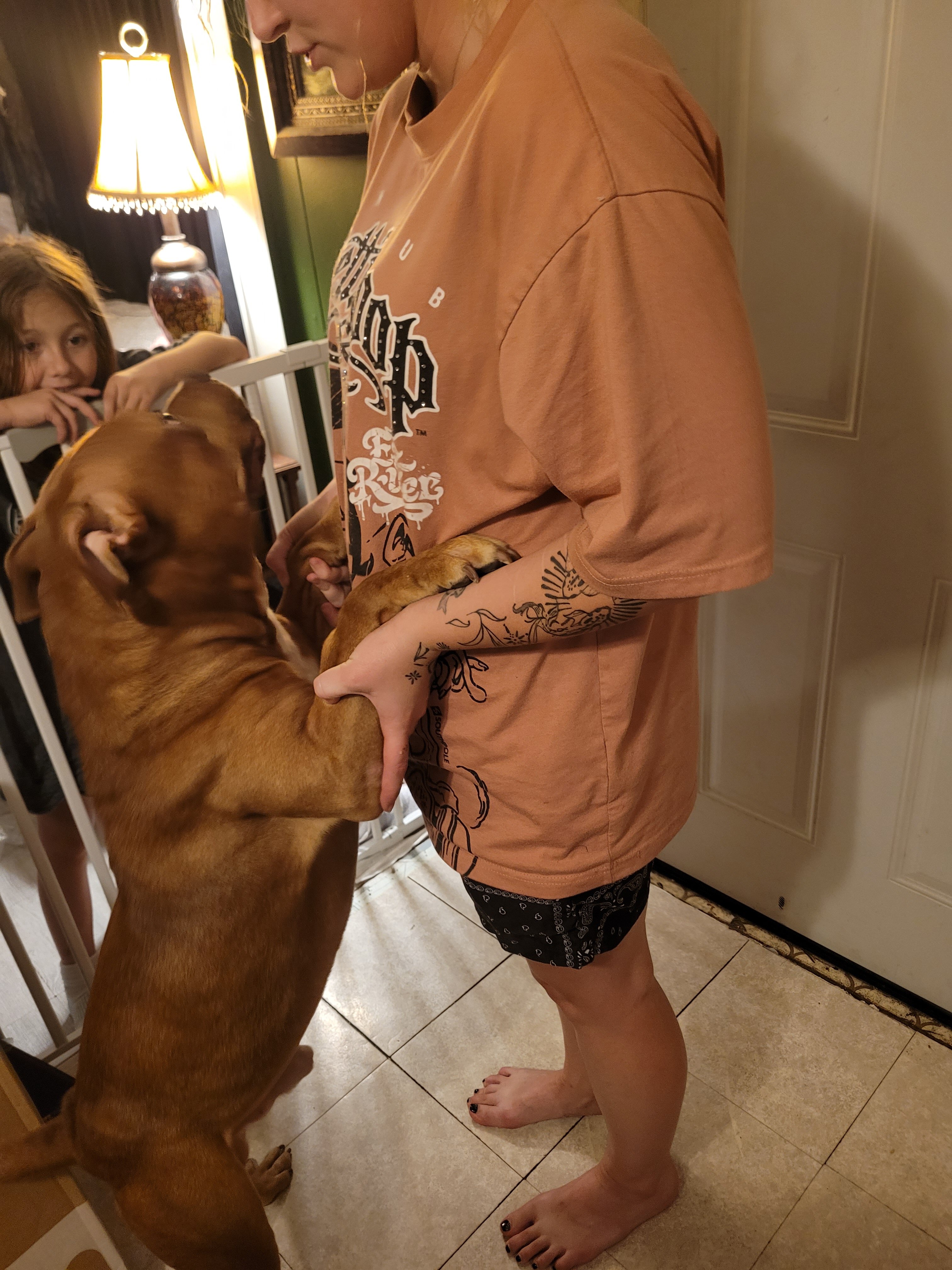 Puppies image 1