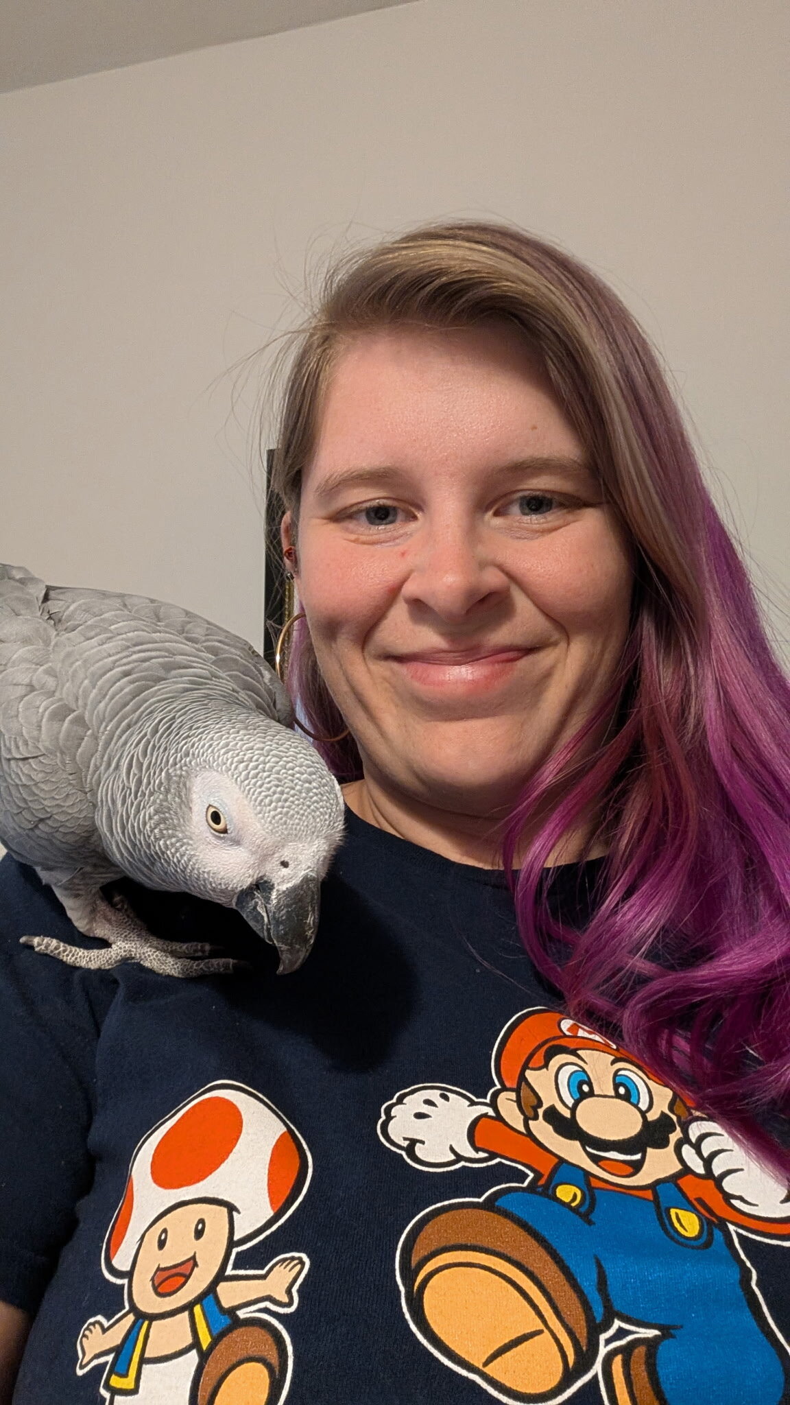 Congo African Grey image 1
