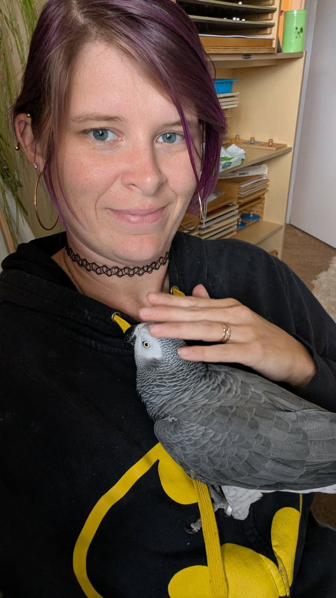 Congo African Grey image 2