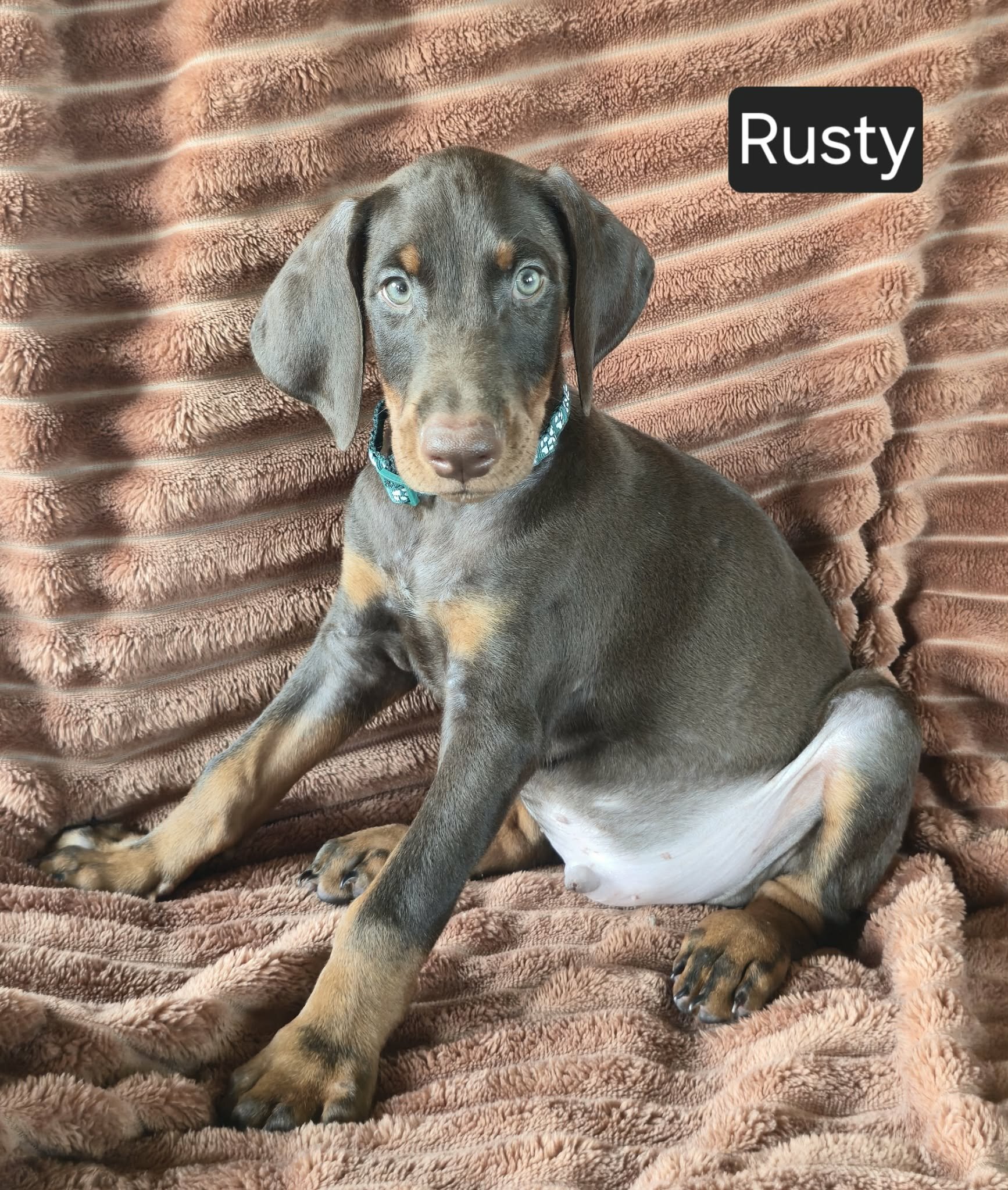 Rusty image 9