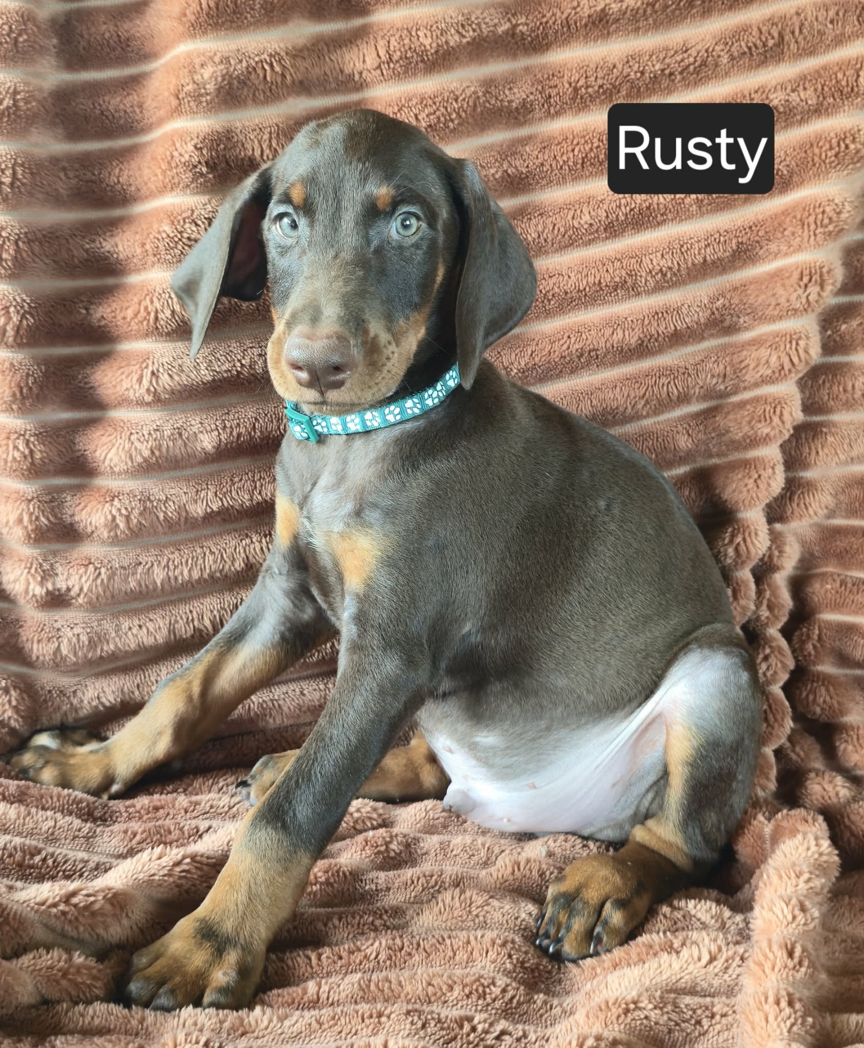 Rusty image 5