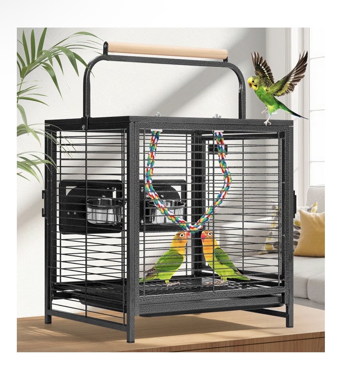 Bonded Pair of Budgies + Cage & Supplies image 3