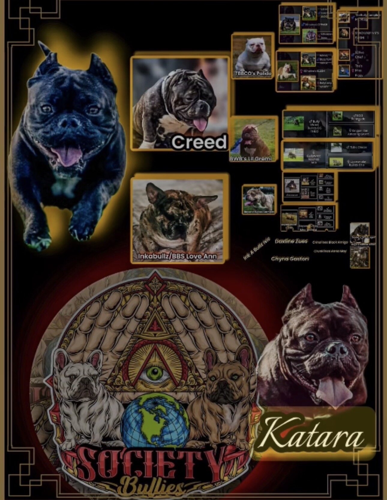 Micro Bully image 4