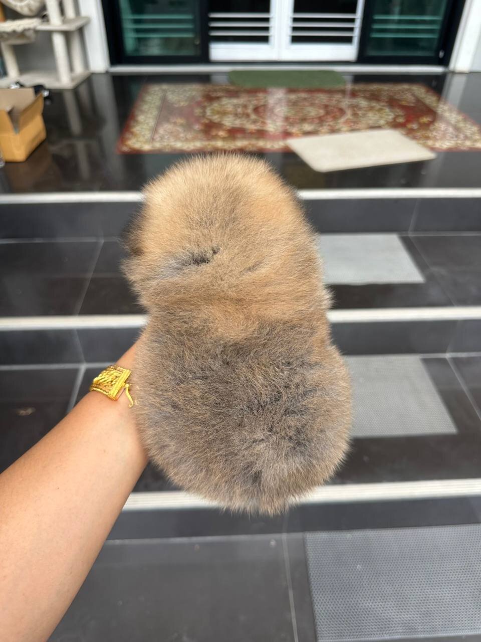 🧸💕 Meet Mochi — Your Little Teddy Bear Princess! image 2