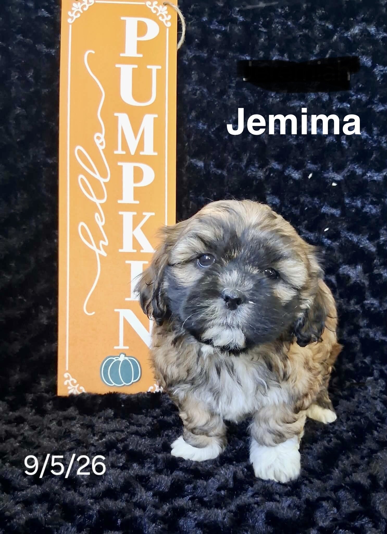Jemima image 1