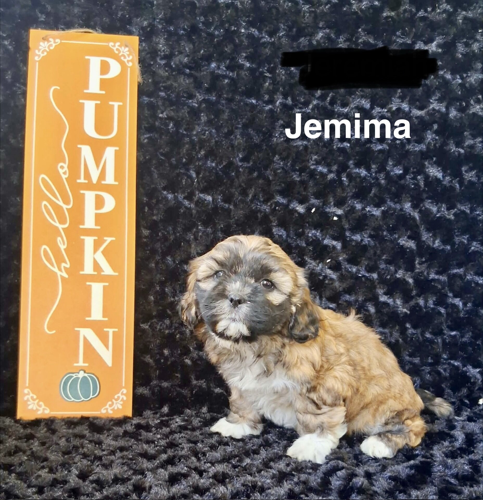 Jemima image 2