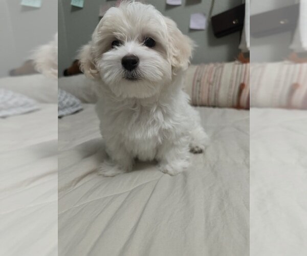 Asia is ready for a new home. image 3