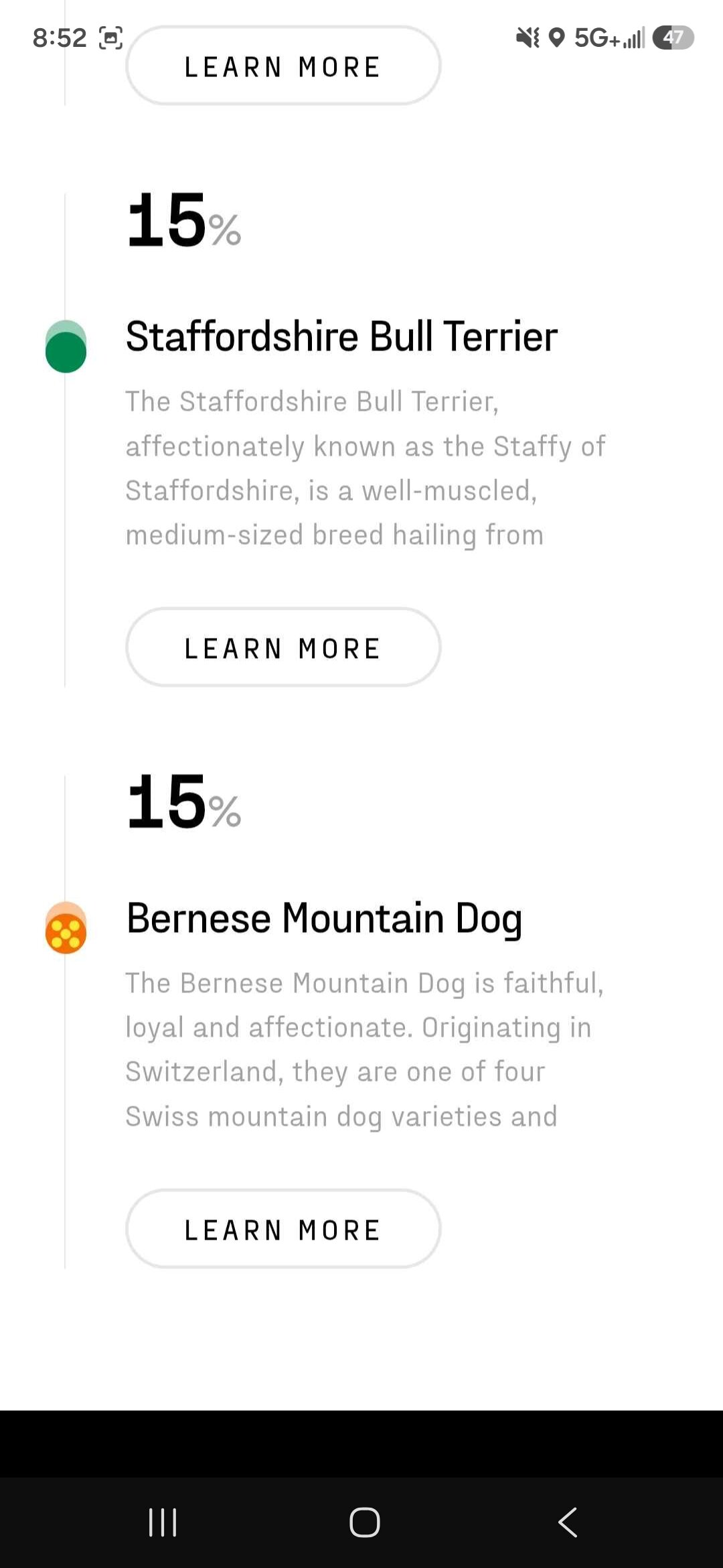 Dog for sell image 2