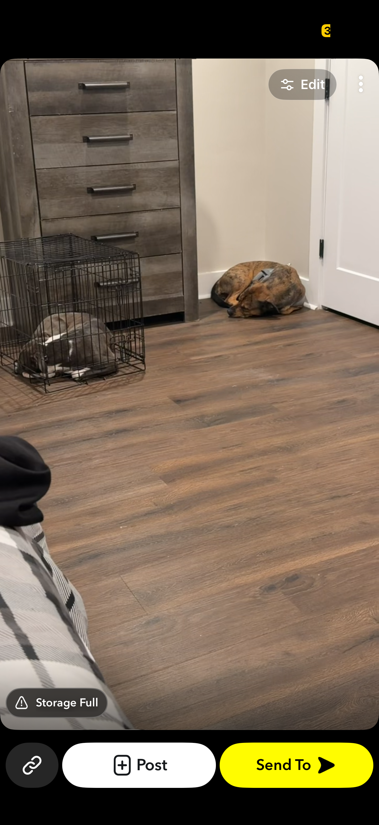 Puppy image 3
