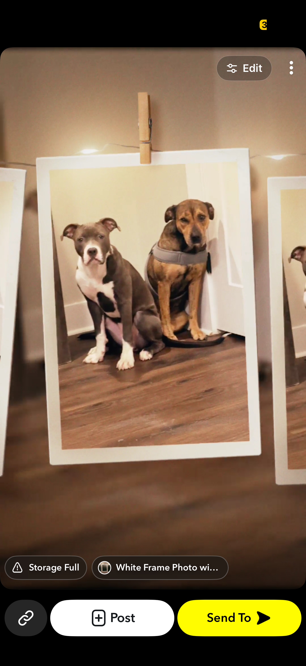 Puppy image 1