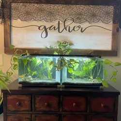 Aquariums