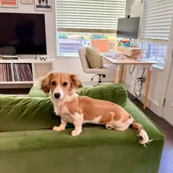 Ella