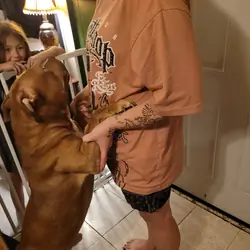 Puppies