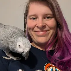 Congo African Grey
