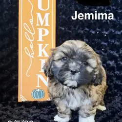 Jemima